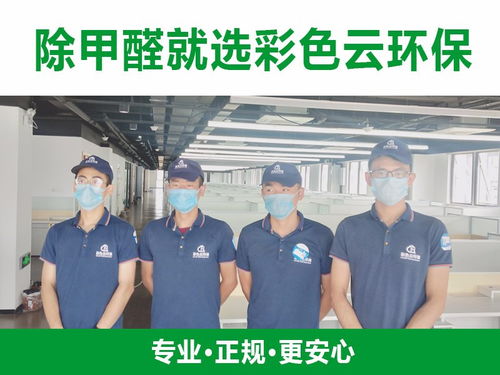 合肥除甲醛公司與教育咨詢服務(wù) 跨界融合，守護(hù)健康學(xué)習(xí)空間